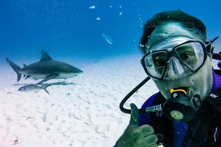 A deep (27m/90ft) dive in with the bull sharks