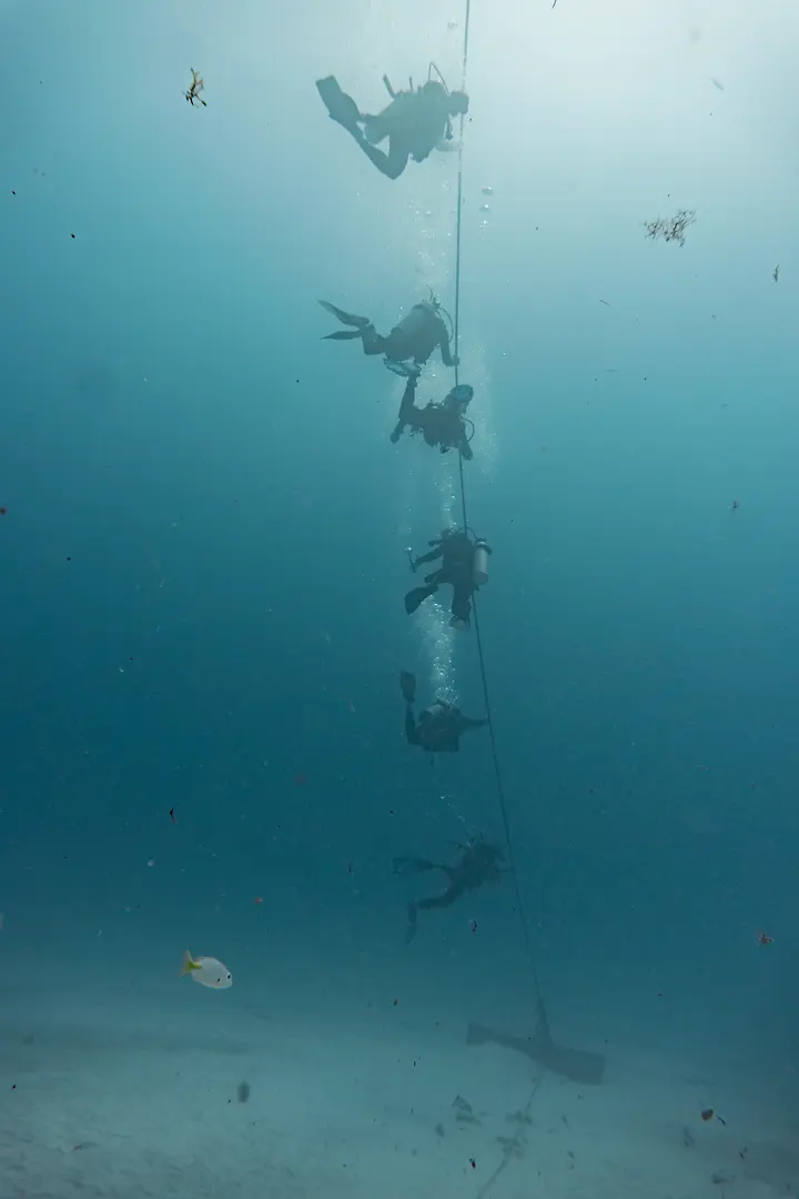 Divers descending the fixed line toward the observation area