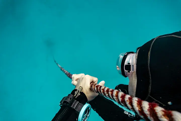 Starting the dive by descening the fixed line at Shark Point
