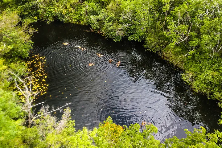 Carwash Cenote