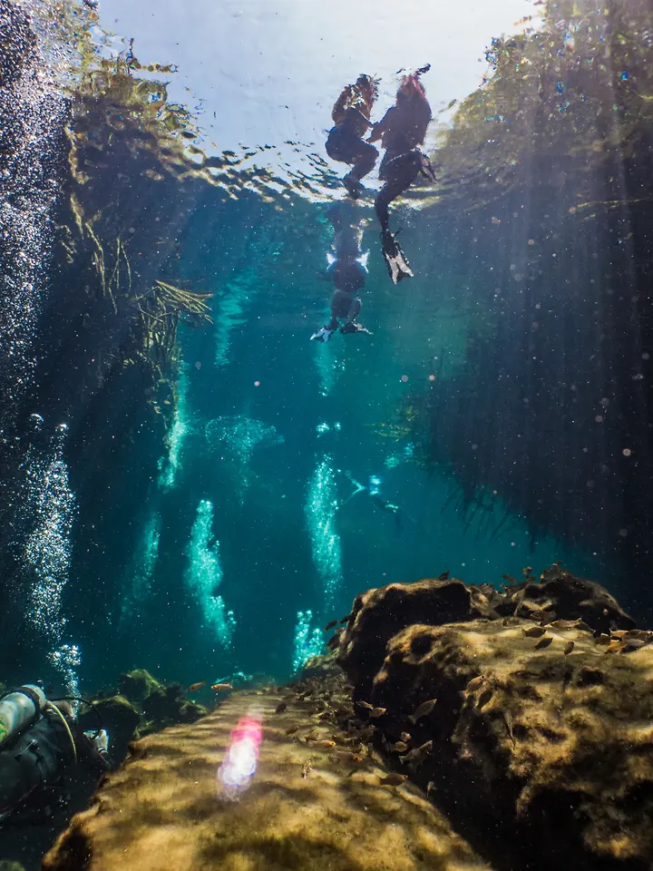 Rescue Diver photo 8