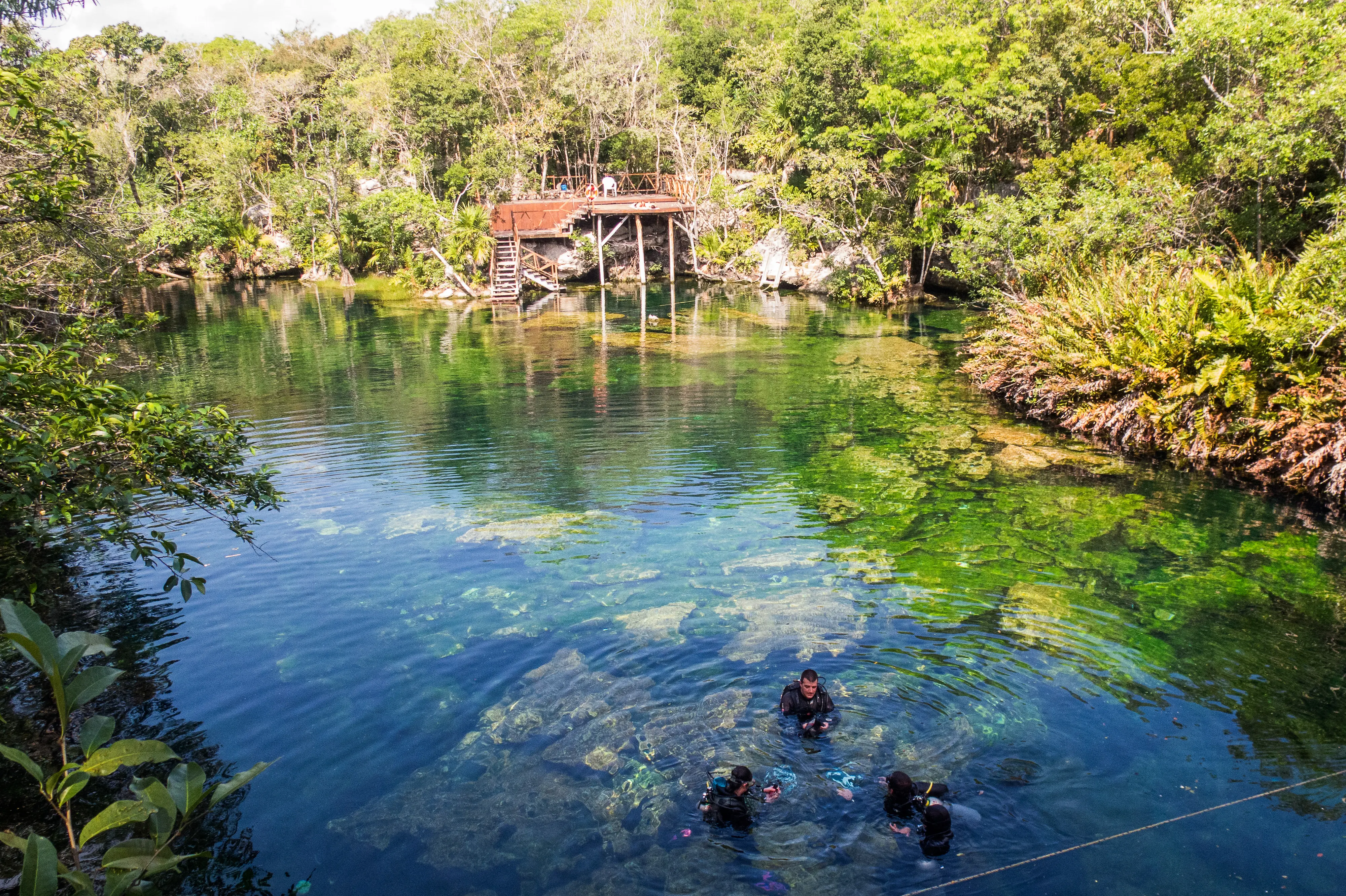 Eden cenote