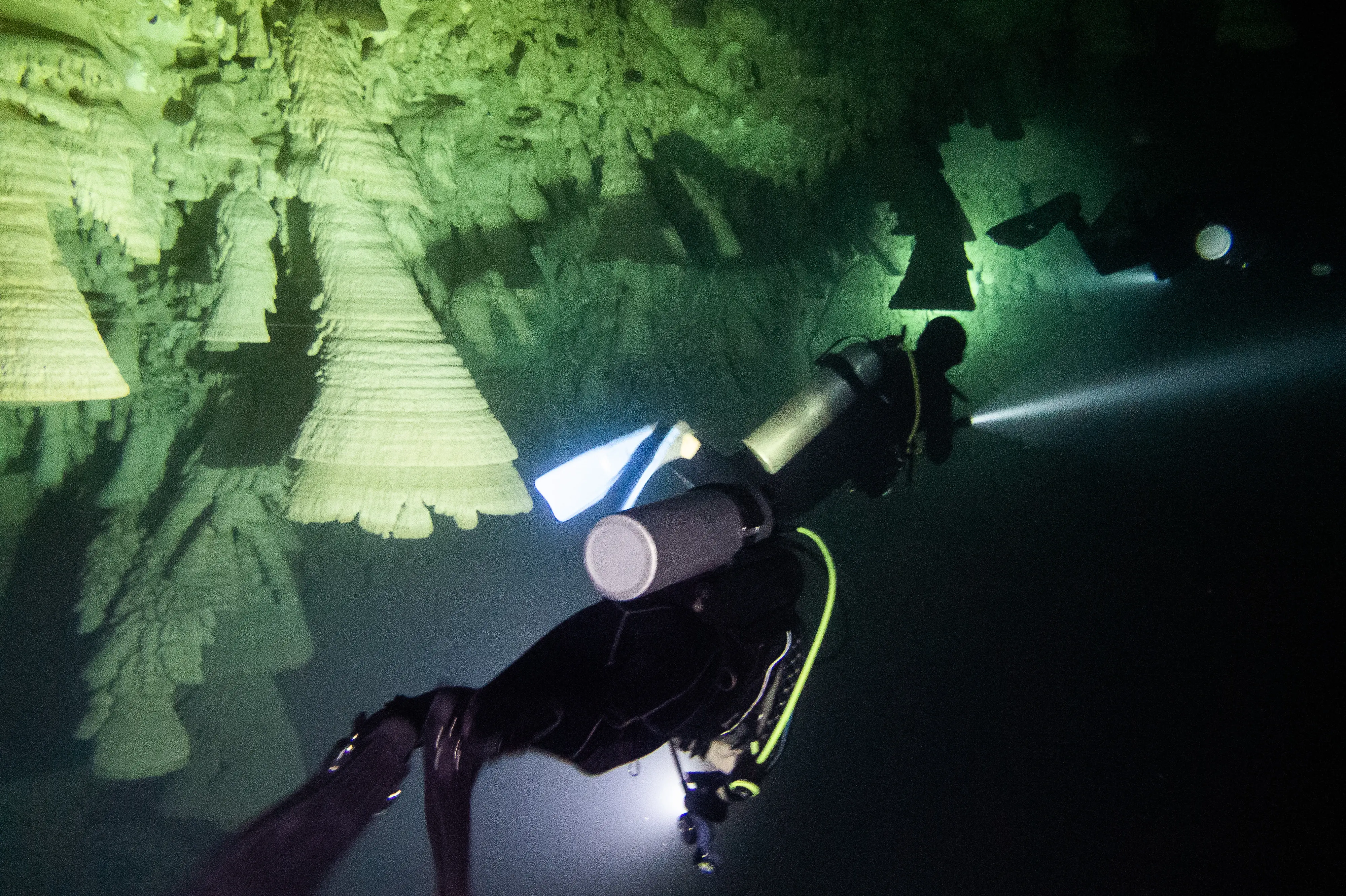 Zapote cenote