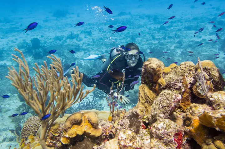 Blowing bubbles in Cozumel