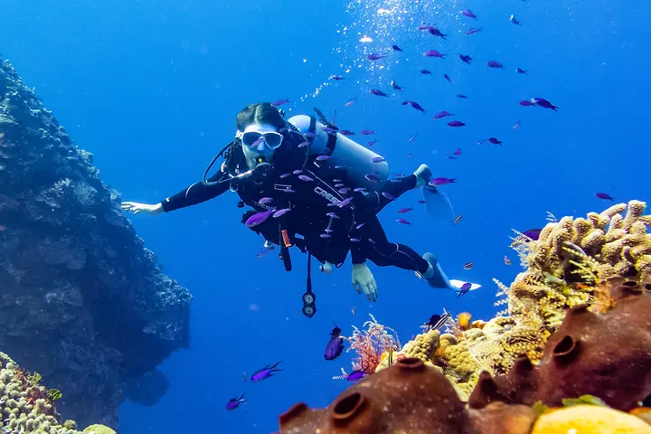 Diver enjoying the reef at Palancar, Cozumel