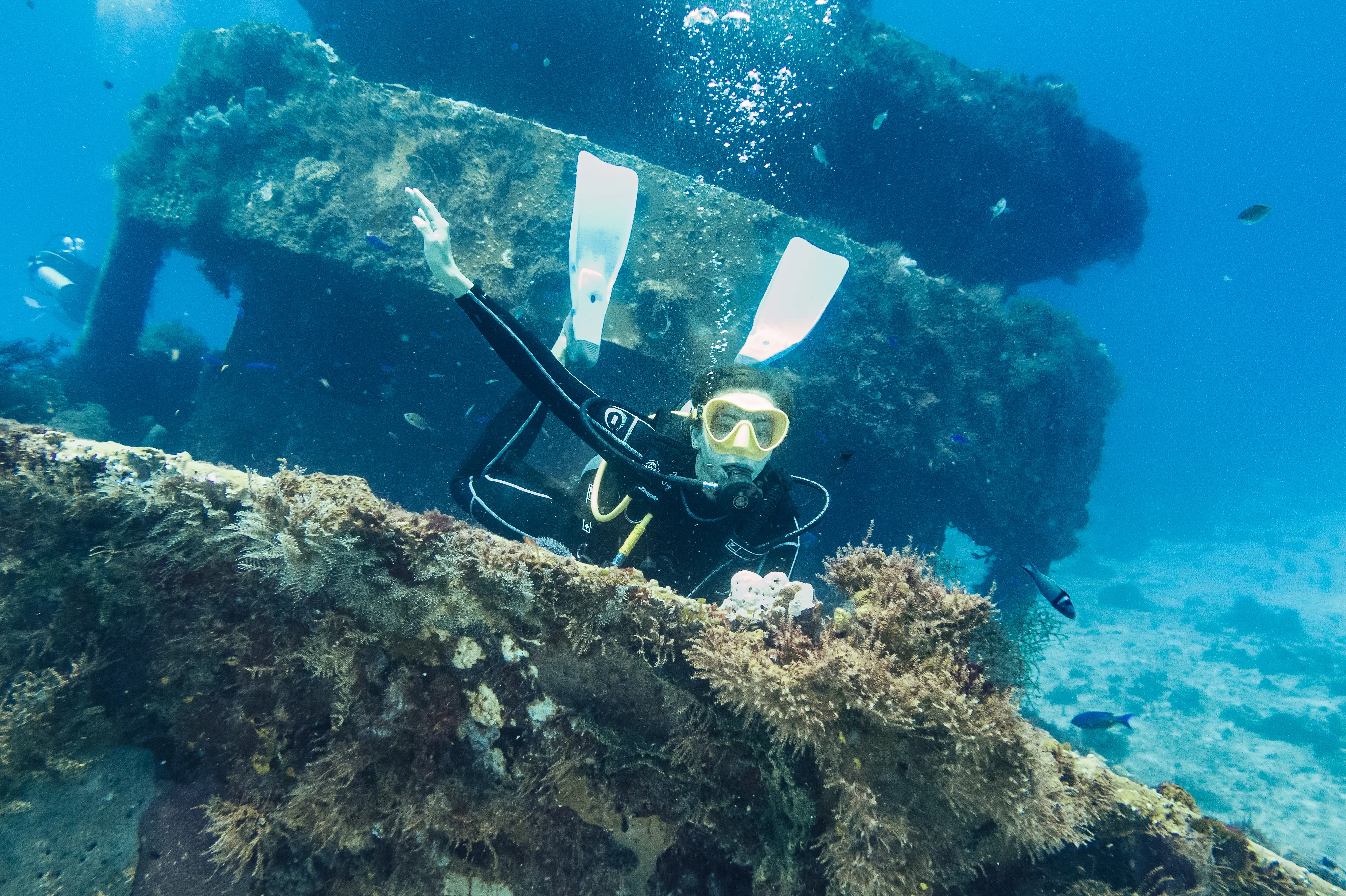 Diver and a shipwreck