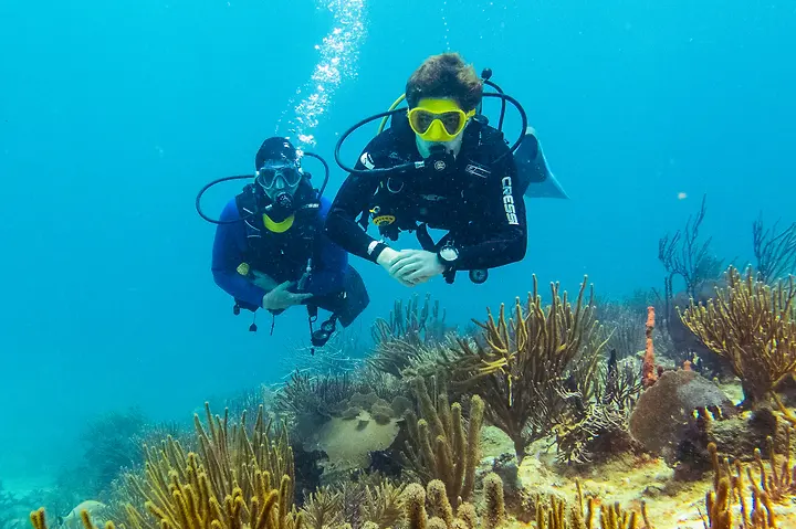 Father and son diving at MocChe reef