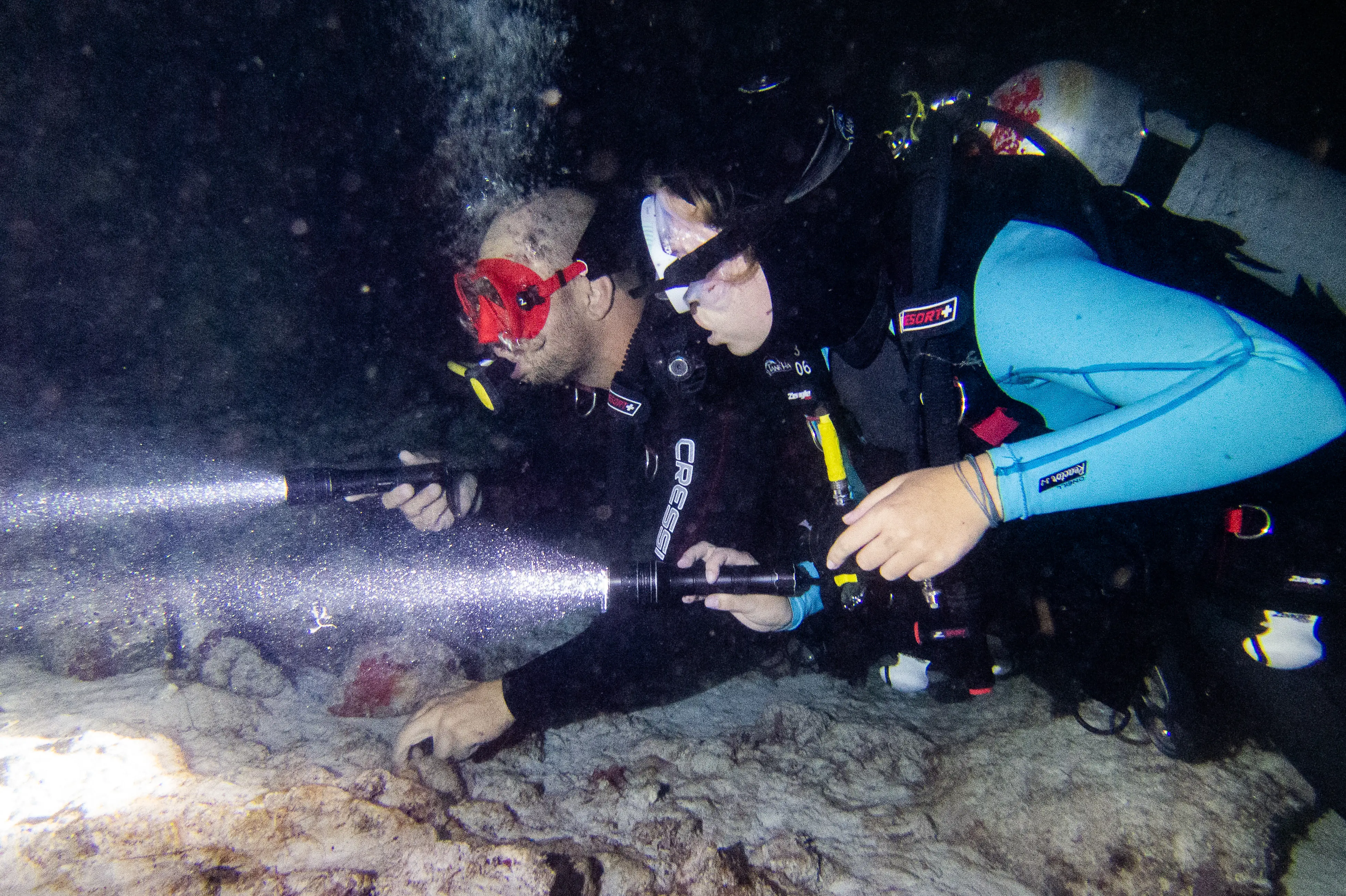 Diver on a night dive
