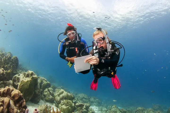 Diver taking notes