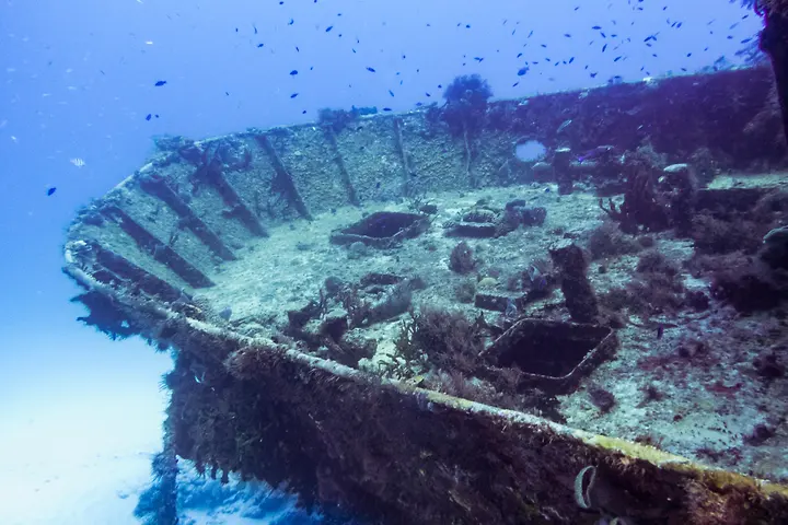 The bow of the Mama Vina